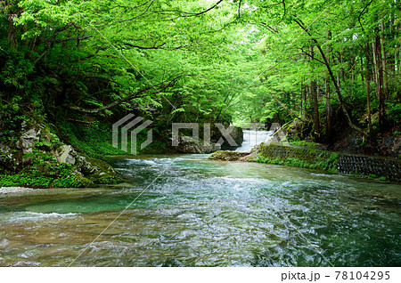伏伸の滝散策路 秋田県 伏伸の滝散策路 秋田県 78104295