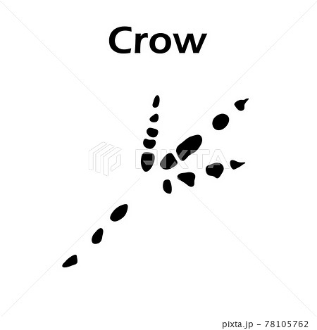 Crow Footprint 78105762
