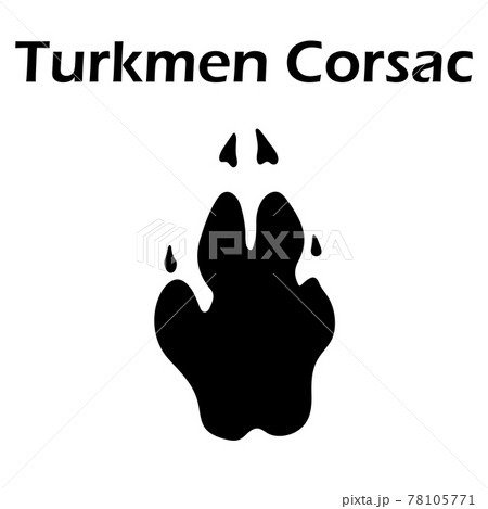 Turkmen Corsac Footprint Turkmen Corsac Footprint 78105771