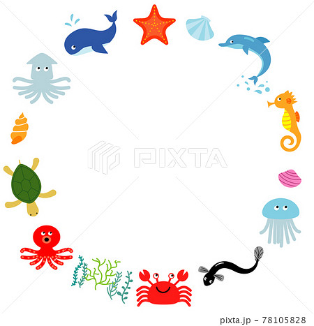 海の生き物のベクターイラストのフレームのイラスト素材 [78105828