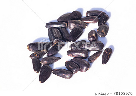 ヒマワリの種 ヒマワリの種 78105970