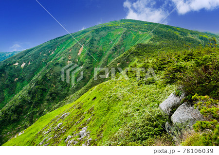 越後　平ヶ岳山頂への道 78106039