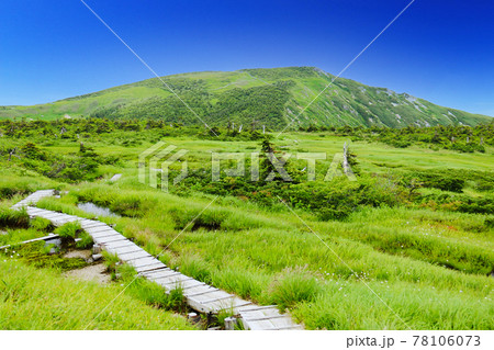 越後　平ヶ岳山頂への道　池ノ岳の木道 78106073