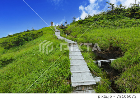 越後　平ヶ岳山頂への道　山頂直下の木道 78106075
