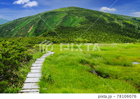 越後 平ヶ岳山頂への道 池ノ岳の木道 越後 平ヶ岳山頂への道 池ノ岳の木道 78106076