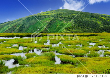 平ヶ岳山頂への道 池ノ岳湿原越しの山頂 平ヶ岳山頂への道 池ノ岳湿原越しの山頂 78106100