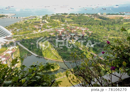 ガーデンズ・バイ・ザ・ベイに映るマリーナ・ベイ・サンズの影 78106270