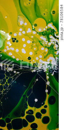 グリーン 緑 緑色 78106584