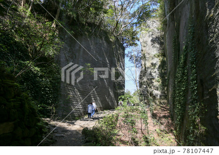 千葉県安房郡鋸南町　4月　鋸山　日本寺　石碧の道 78107447