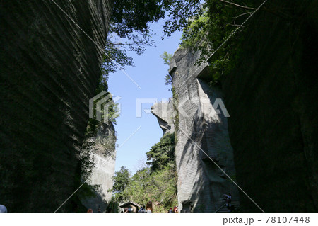 千葉県安房郡鋸南町 4月 鋸山 日本寺 石碧の道 千葉県安房郡鋸南町 4月 鋸山 日本寺 石碧の道 78107448