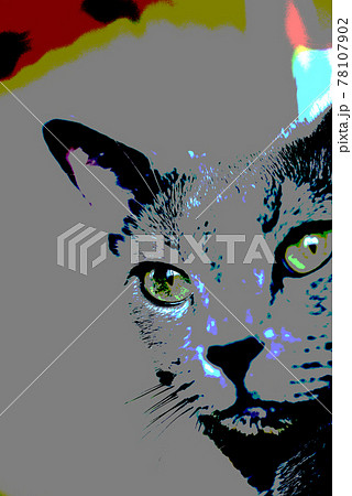 猫の背景素材　ロシアンブルー 78107902
