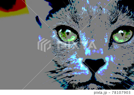 猫の背景素材　ロシアンブルー 78107903