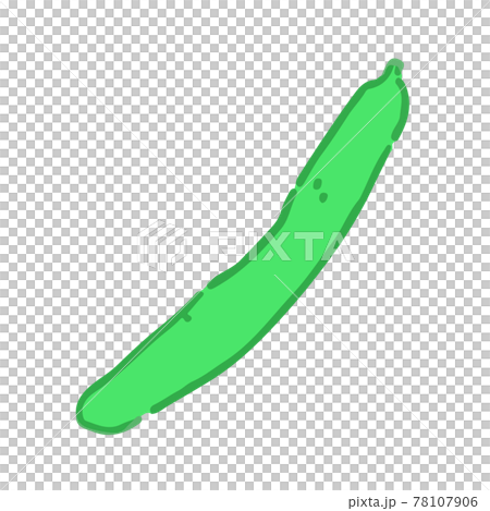 Cucumber illustration Cucumber illustration 78107906