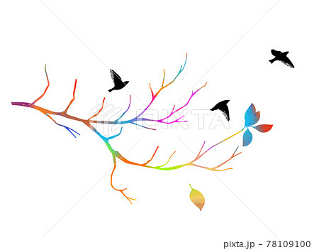A multi-colored bare tree branch with birds . Vector illustration A multi-colored bare tree branch with birds . Vector illustration 78109100