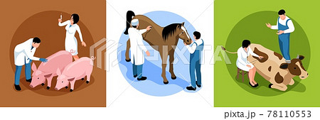 Farm Veterinary Isometric Concept 78110553