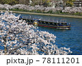 毛馬桜之宮公園 78111201