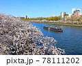毛馬桜之宮公園 78111202