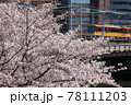 毛馬桜之宮公園 78111203