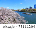 毛馬桜之宮公園 78111204