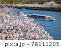 毛馬桜之宮公園 78111205