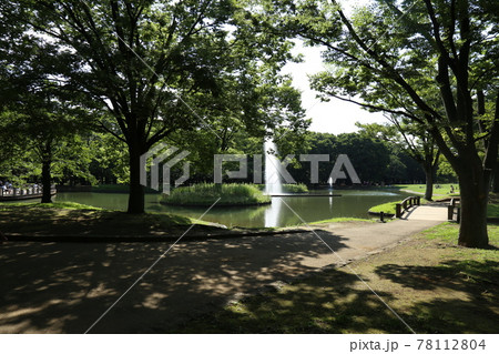 代々木公園 78112804