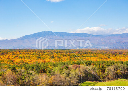 浅間山麓のリゾート地　北軽井沢の秋　紅葉の浅間牧場　 78113700