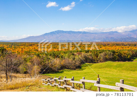浅間山麓のリゾート地 北軽井沢の秋 紅葉の浅間牧場 浅間山麓のリゾート地 北軽井沢の秋 紅葉の浅間牧場 78113701