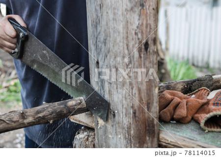 circumcised man sawing wood with a saw circumcised man sawing wood with a saw 78114015