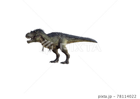 tyrannosaurus rex, in different poses for... - Stock Illustration  [78114043] - PIXTA