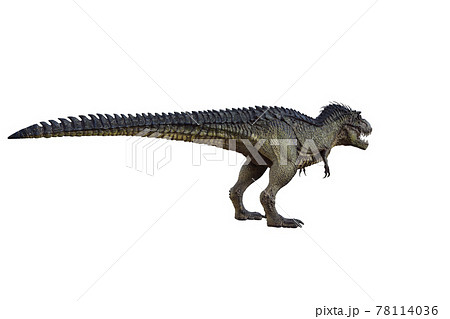 HGL Fantástico Poses Dinousarios - SV21420 Trex Figuras Toy Movible Cuernos  Roar | eBay