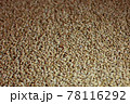 Barley grains in storage. Grain background, grain mass texture 78116292