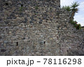 Dracaena palm tree on medieval cobblestones wall made of round stones in cement 78116298