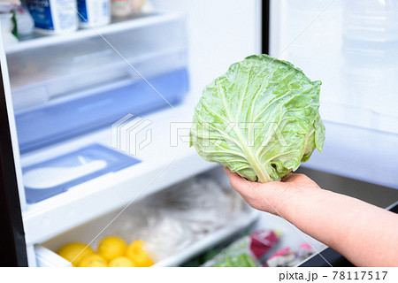料理のために冷蔵庫からキャベツを取り出す女性の手　扉を開けた冷蔵庫 78117517