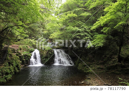 新緑の赤目四十八滝 78117790