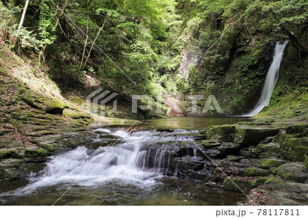 新緑の赤目四十八滝 78117811