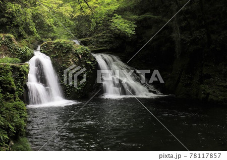 新緑の赤目四十八滝 78117857