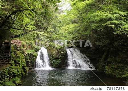 新緑の赤目四十八滝 78117858
