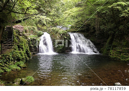 新緑の赤目四十八滝 78117859