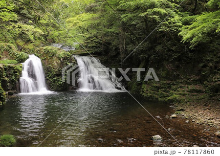 新緑の赤目四十八滝 78117860