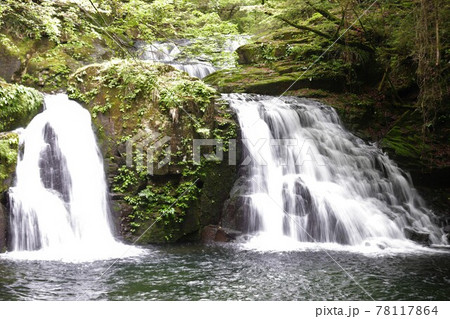 新緑の赤目四十八滝 78117864