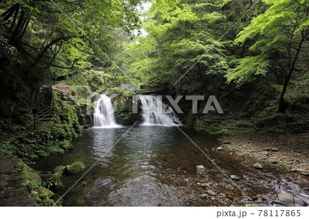 新緑の赤目四十八滝 78117865
