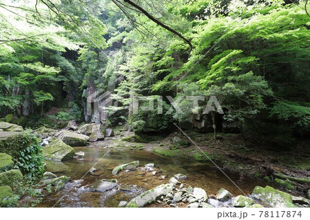 新緑の赤目四十八滝 78117874