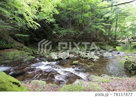 新緑の赤目四十八滝 78117877