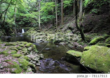 新緑の赤目四十八滝 78117913