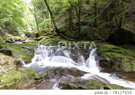 新緑の赤目四十八滝 78117919