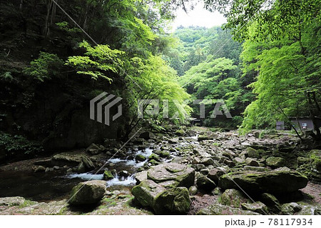 新緑の赤目四十八滝 78117934