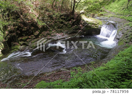 新緑の赤目四十八滝 78117956