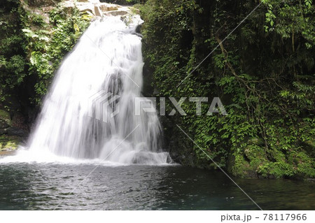 新緑の赤目四十八滝 78117966