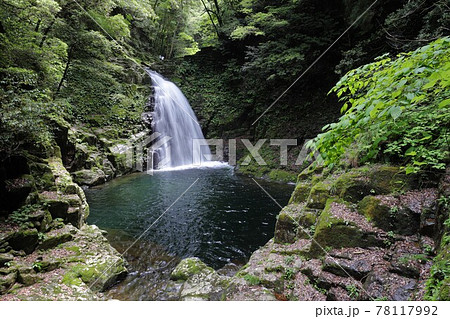新緑の赤目四十八滝 78117992