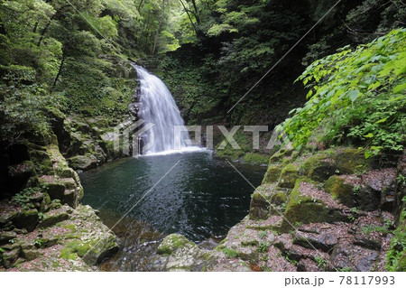 新緑の赤目四十八滝 78117993